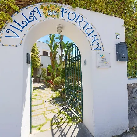 Bed & Breakfast Fortuna