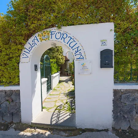 Bed & Breakfast Fortuna 2*